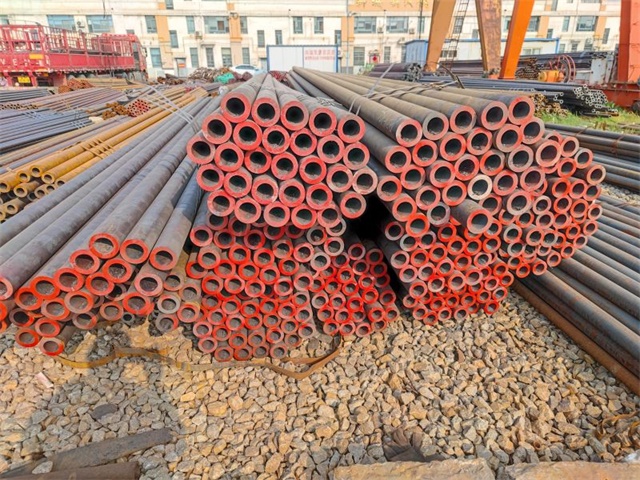 IMG_20230401_154829.jpg IMG_20230401_154829.jpg