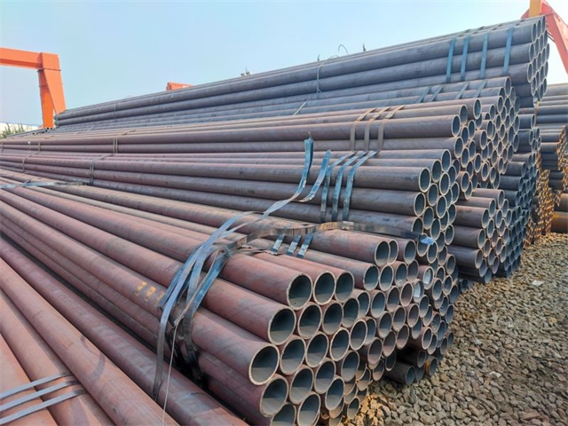 IMG_20230401_153036.jpg IMG_20230401_153036.jpg