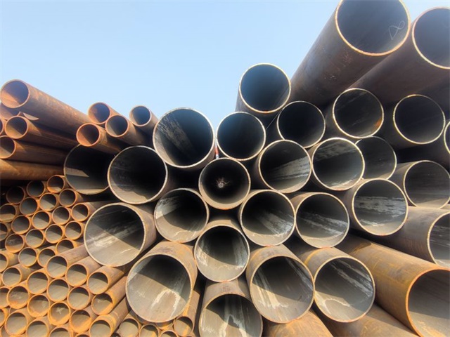 IMG_20230401_153149.jpg IMG_20230401_153149.jpg