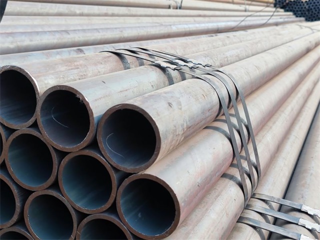 IMG_20230401_161113.jpg IMG_20230401_161113.jpg