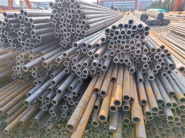 IMG_20230401_155457.jpg IMG_20230401_155457.jpg