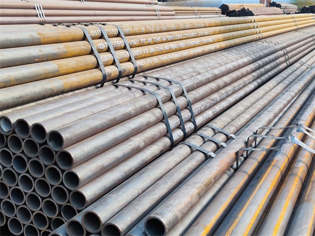 IMG_20230401_160803.jpg IMG_20230401_160803.jpg